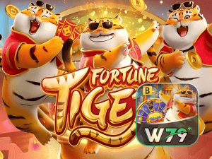 Guia install APK W79 BET BR
